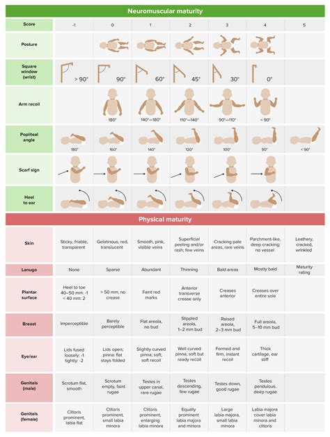Examen Físico Neonatal | Concise Medical Knowledge