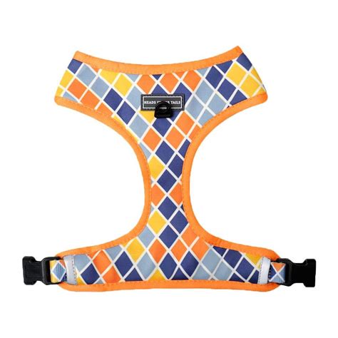 Heads Up For Tails Colour Chaser Reversible Mesh Dog Harness - M ...