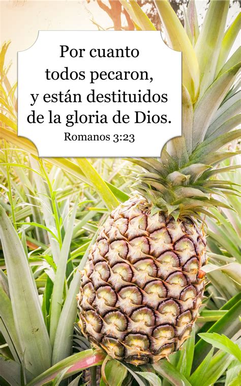 Romanos 3_23 - Sálvame Ya