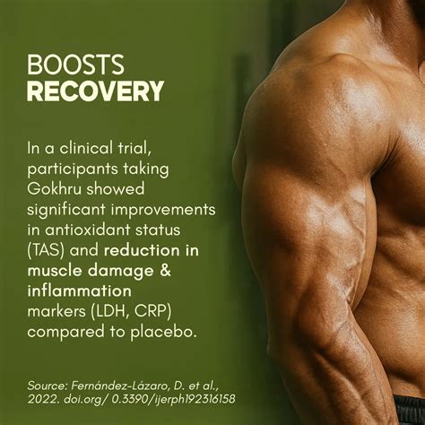 Best Gokshura Supplement - Advanced Gokhru for Strength - Rasayanam