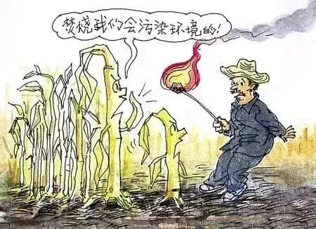 【重磅】关于严禁露天焚烧农作物秸秆的通告