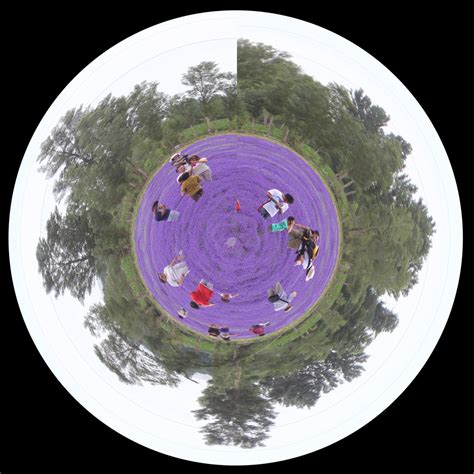 美丽的地球 的图像结果