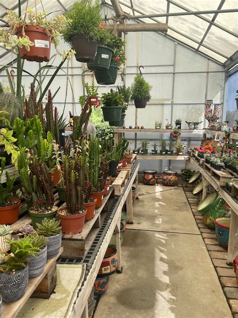 Mariposa Nursery Inc - 5020 Lorraine Rd #5301, Bradenton, FL 34211 ...