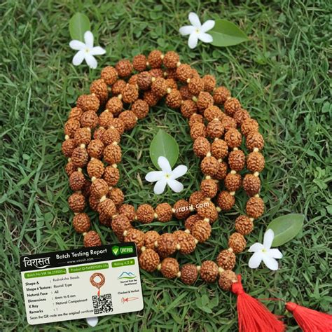 5 Mukhi Rudraksha Mala – Virasit
