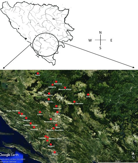BH Notluc Map Code 的图像结果