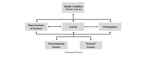 Image result for International Classification of Functioning and Disability Goals Structure