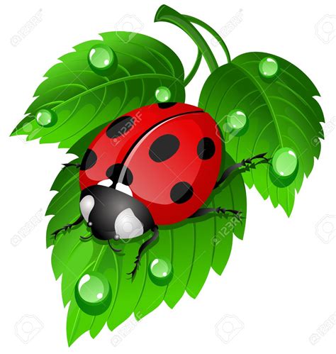 ladybug on leaf clip art 9 free Cliparts | Download images on ...