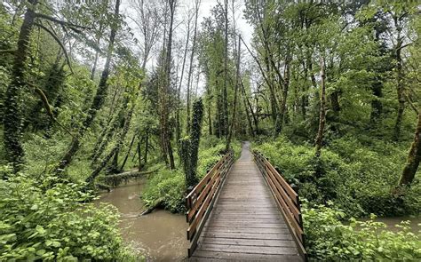 Family Friendly Meditation Hike at Tryon Creek State Park, Tryon Creek ...