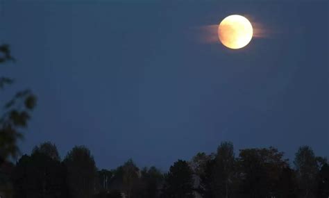 Lunar eclipse on Nov 30; can't be seen by naked eye
