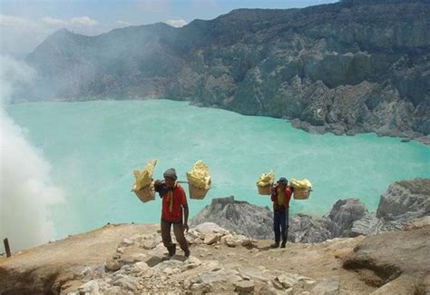 Bromo Ijen Tours Services - Banyuwangi | Tripadvisor