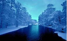Blue Tree Wallpaper by Blue River White Trees Wallpapers Blue River Blue Tree Wallpaper