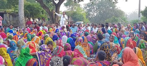 Orissa High Court stays alienation of forest-categorised land for JSW ...