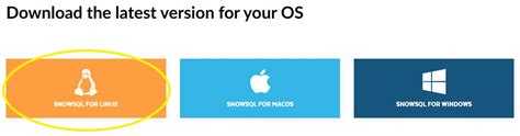 Image result for Snowsql Batch File Example