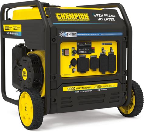Amazon.com : Champion Power Equipment 2500-Watt Dual Fuel Portable ...