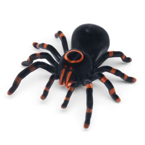 Image result for Tarantula Remote Control