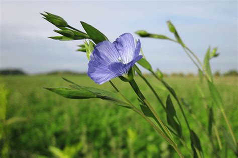 Kinnard Funeral & Cremation Services | Algoma WI funeral home and cremation