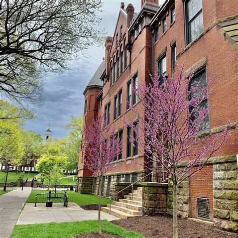 Rutgers University Acceptance Rate