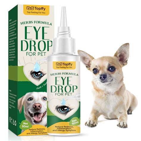 Dog Eye Infection Wash at Gemma Nock blog