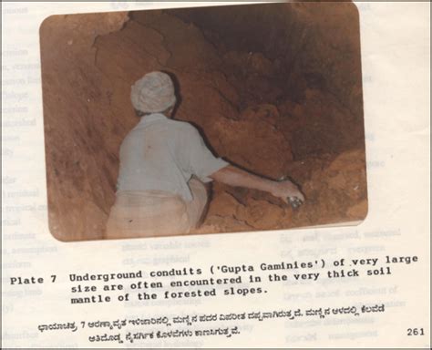 Landslides in Kodagu & Western Ghats: A critique of GSI report – SANDRP