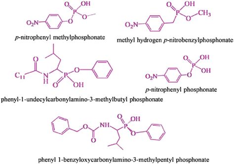 Transition State Analog 的图像结果