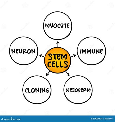 Image result for Learning Area in Lesson Plan Example