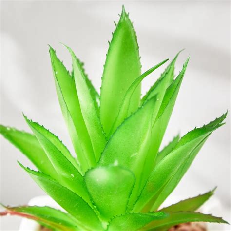 Buy Fiesta Garden Artificial Plant in Ceramic Pot from Home Centre at ...