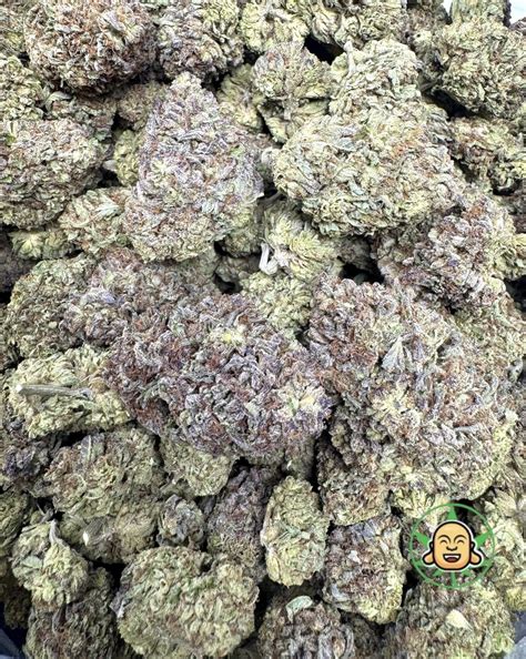 Triple OG Strain – Potent Indica for Relaxation | Buy Online