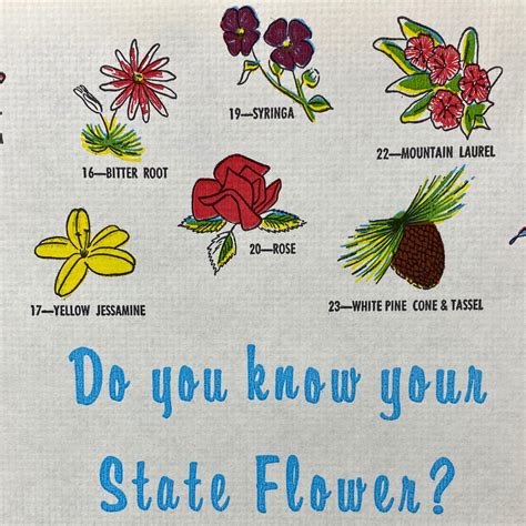 Vintage 1956 United States State Flower Symbols Restaurant Paper ...