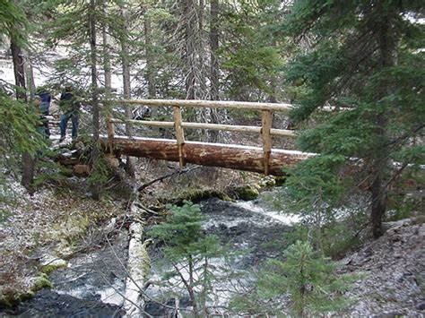 Image result for Homemade Log Bridge