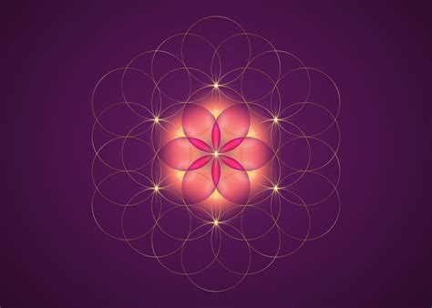 Seed of Life Wallpapers - Top Free Seed of Life Backgrounds ...