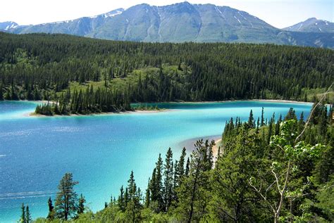 Picture Viewer Error Occurred 的图像结果