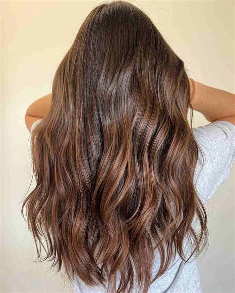 Can You Chocolate Brown Hair at Jimmy Young blog