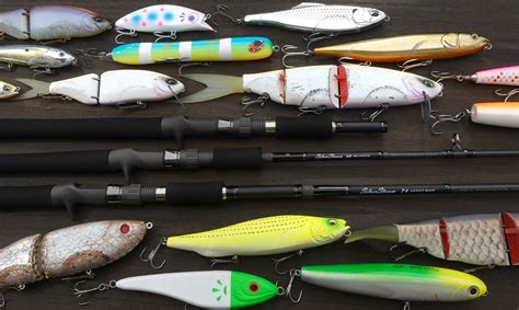 激安 デプス ギラギラコウゲキ (ジャイアントベイト マグナムベイト ビッグベイト) (3) - 通販 - philosophy.du.ac.in