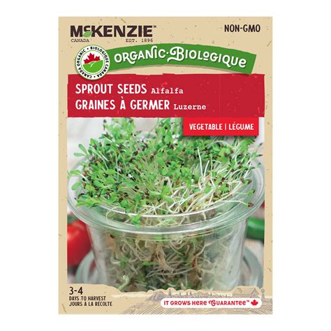 Buy Organic Alfalfa Sprout Seed Online | McKenzie Seeds