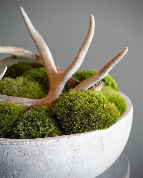 The Standing Garden Roses – GRAVEL Florals & Curiosities