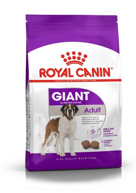 Mastiff | Royal Canin IN