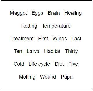 Maggots Overview, Formation & Uses - Lesson | Study.com