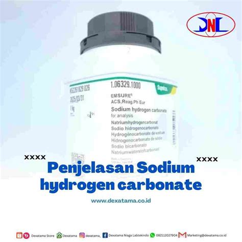 Penjelasan Sodium hydrogen carbonate Archives - Dexatama.co.id