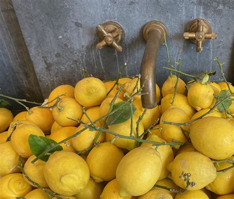 Greenhouse Lemons - by Jean Vernon