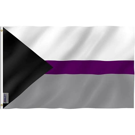 Fly Breeze 3x5 Foot Demisexual Pride Flag - Anley Flags