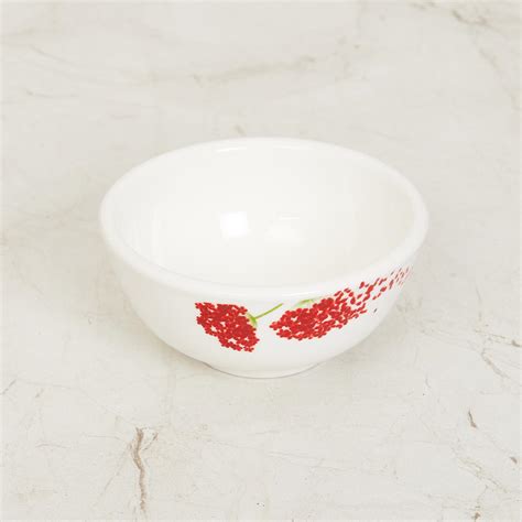 Buy Pristine Multicolour 20 Pc Dinner Set Porcelain from Home Centre at ...