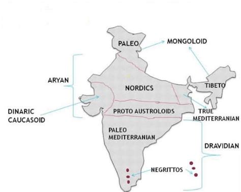 Racial Groups of India - Geography Notes