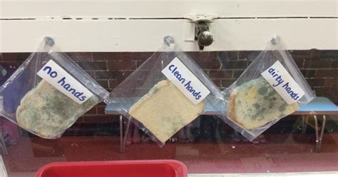 Image result for Falling Bread Experiment