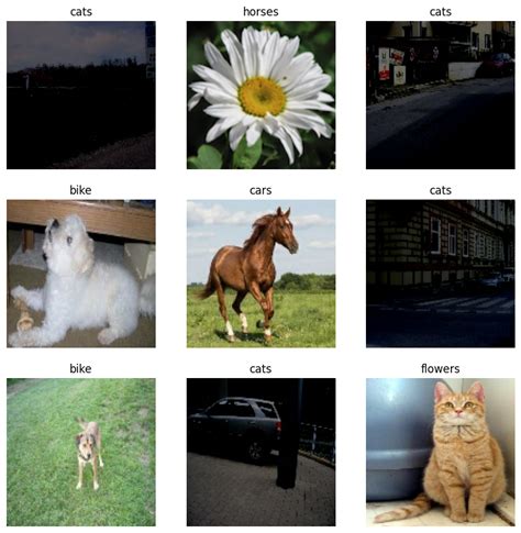 Image result for Multi-Class Images Classification without Using Framework