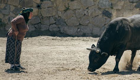 Look+Look+Movies Photos, Download The BEST Free Look+Look+Movies Stock ...