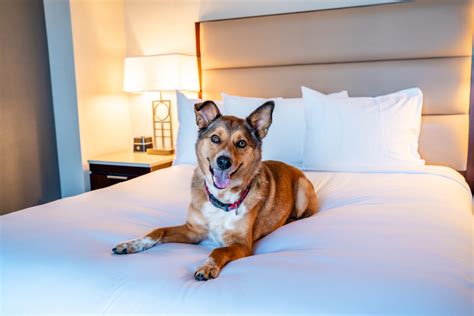 Flour Bakery + Cafe - Central Square - Cambridge Office for Tourism