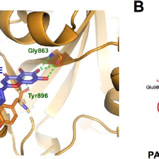 Image result for Structure PyMOL