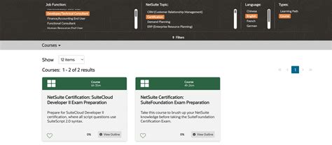Image result for NetSuite Developer
