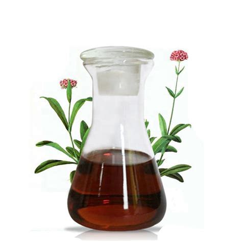 TheWholesalerCo India | Buy retail at wholesale prices