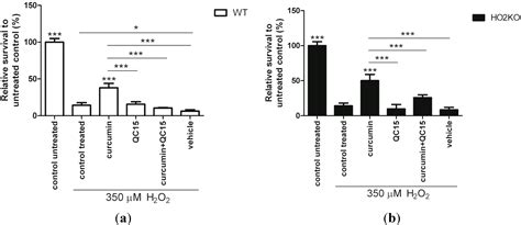 Curcumin-Induced Heme Oxygenase-1 Expression Prevents H2O2-Induced Cell ...